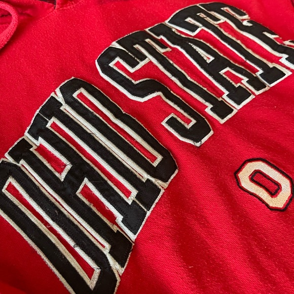 #243 OHIO STATE BUCKEYES COLLEGE HOODIE - Picture 6 of 11